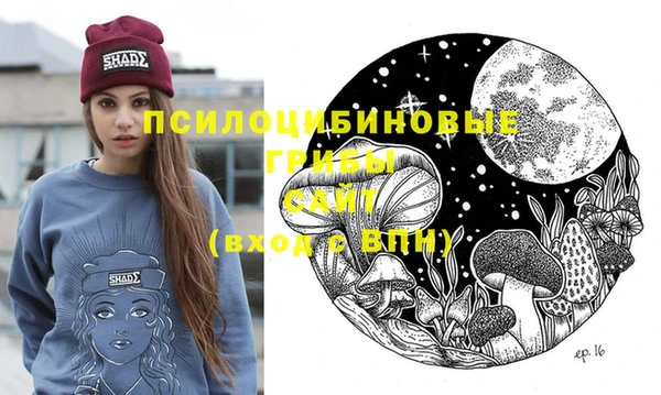МДМА Новодвинск