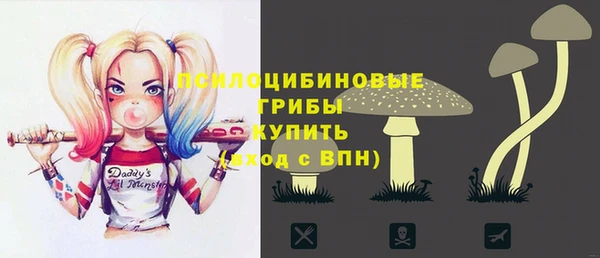 MDMA Няндома